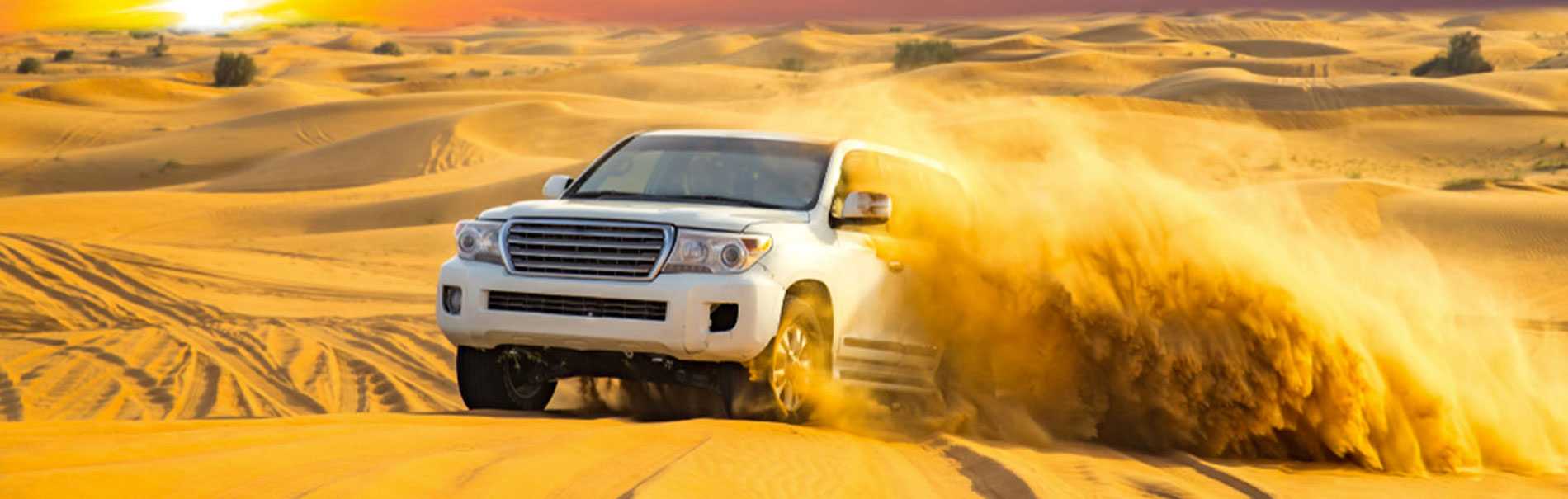 IMG world of adventure